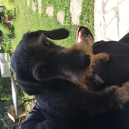 Bed & Breakfast La Porte Rouge - The Red Door 3*