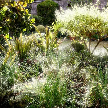 La Porte Rouge - The Red Door לינה וארוחת בוקר 3*