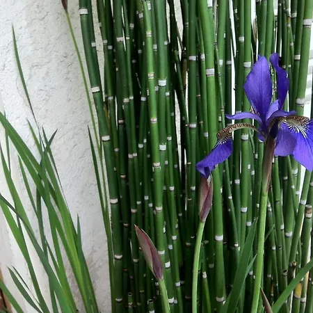 La Porte Rouge - The Red Door Bed & Breakfast 3*