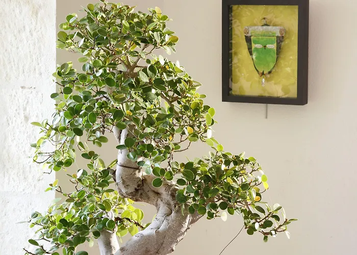 La Porte Rouge - The Red Door