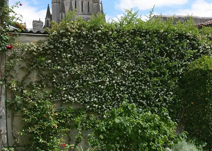 Bed and breakfast La Porte Rouge - The Red Door Saintes
