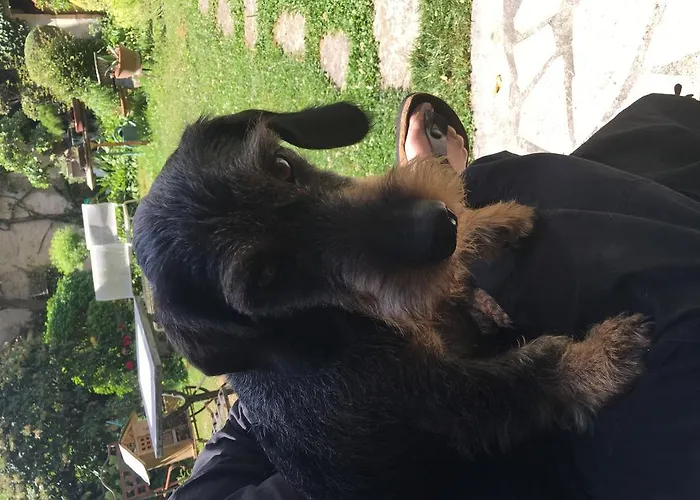 Bed and breakfast La Porte Rouge - The Red Door 3*