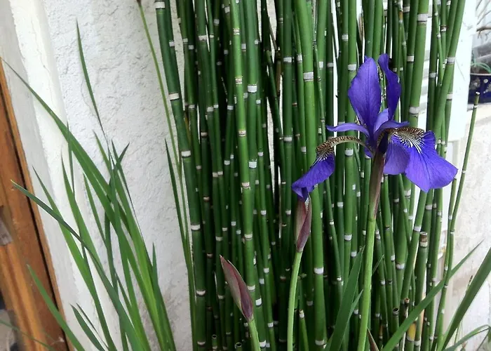 La Porte Rouge - The Red Door Bed and breakfast 3*